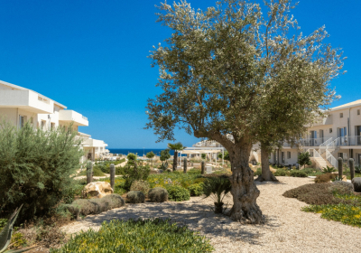 Casa Vacanze Appartamento Borgo 84 La Perla Marzamemi